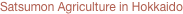 shapeimage_2_link_0