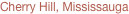 shapeimage_7_link_0