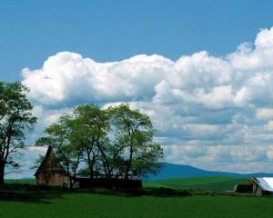 cumulus clouds