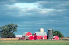 farm in flatlands with surrounding field of corn