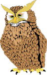 owl